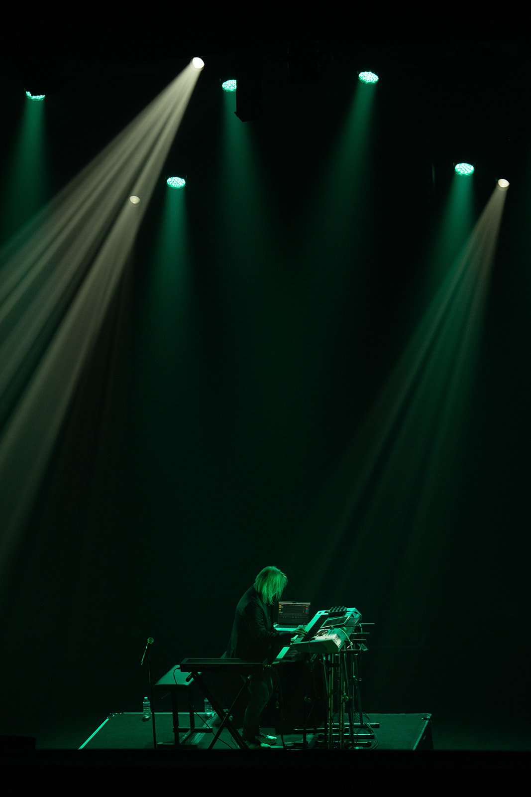 Deep Forest – silhouettes dans la lumière